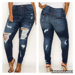 High Distressed Denim
