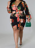 Ginger Plus dress